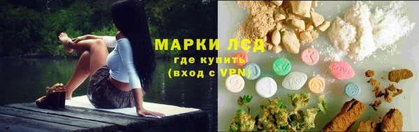 шишки Алзамай
