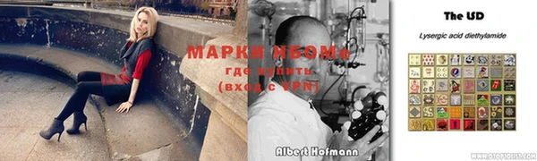шишки Алзамай