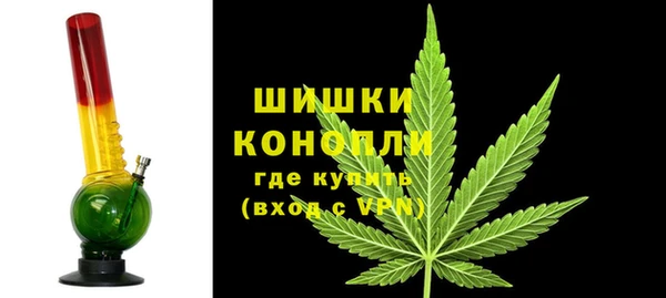 шишки Алзамай