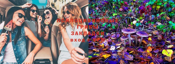 шишки Алзамай